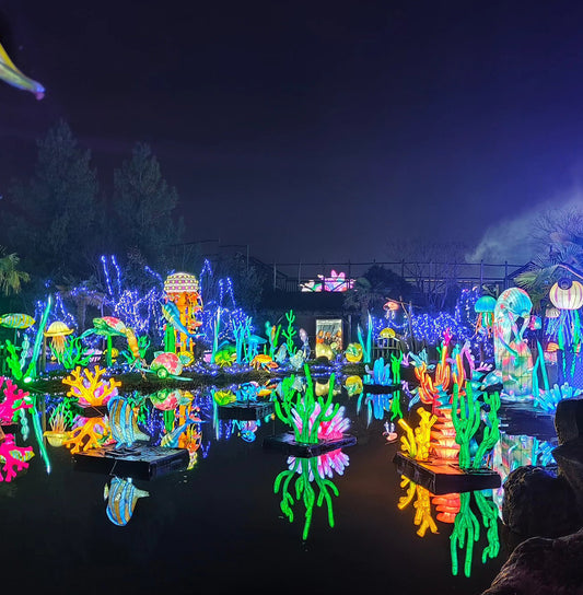 NOUVEAU : Festival Luminescences au Zoo d'Amnéville - TARIF ENFANT