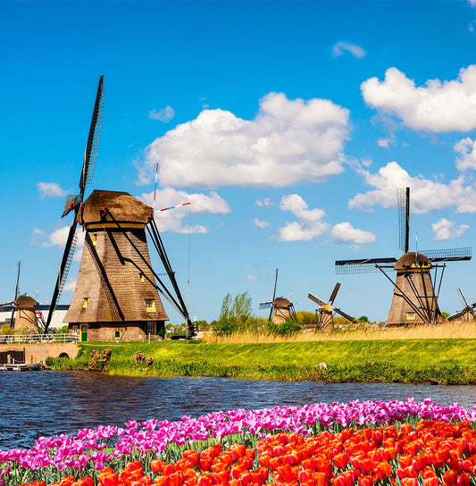 NOUVEAU PROGRAMME : La Hollande au temps des tulipes - 21 au 24 avril 2026