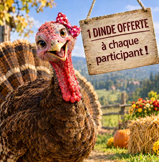 Journée Retrouvailles Chez Berthe à Seveux - Mercredi 18 novembre 2026