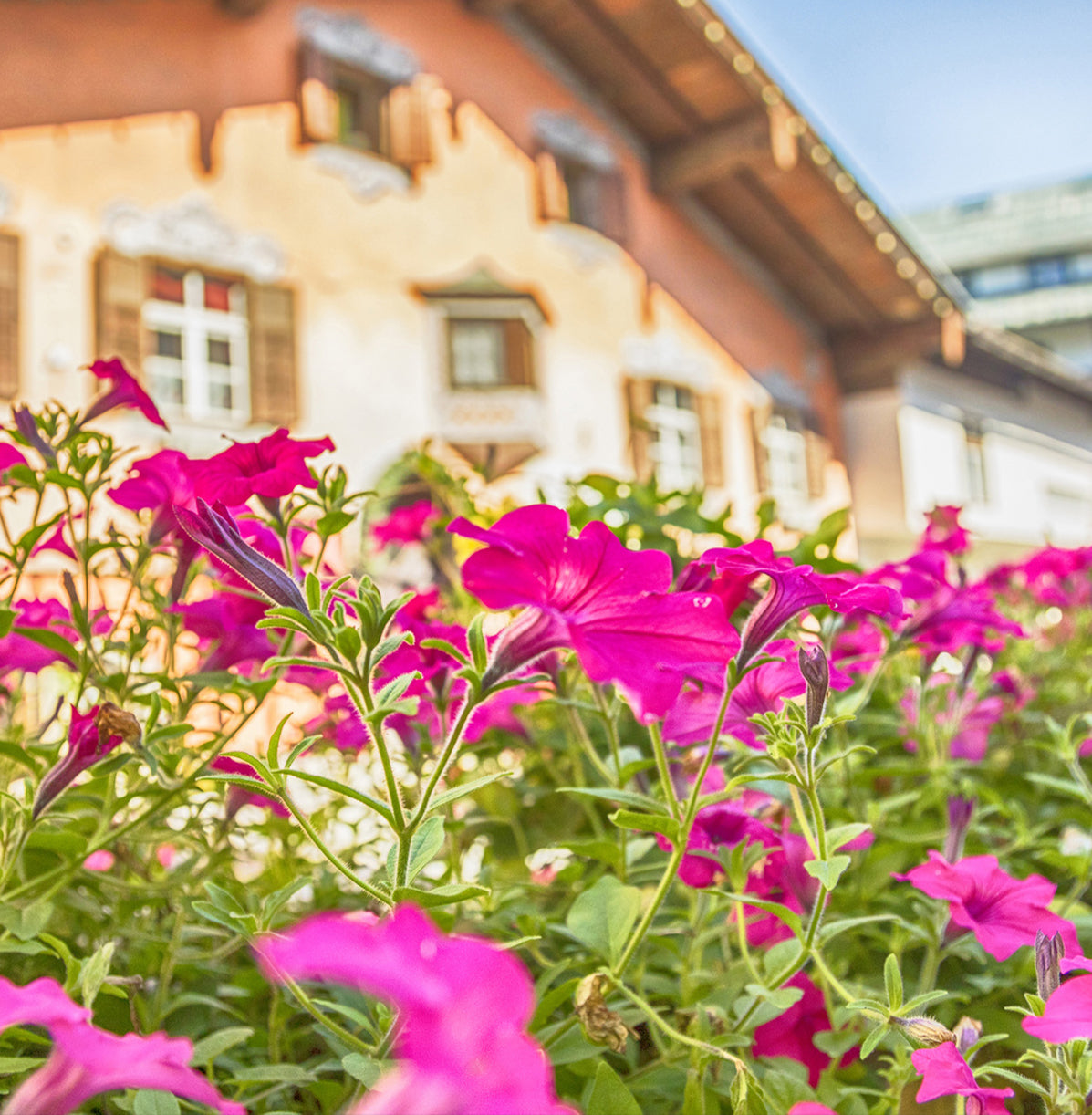 La fête des fleurs au Tyrol - 13 au 16 août 2025